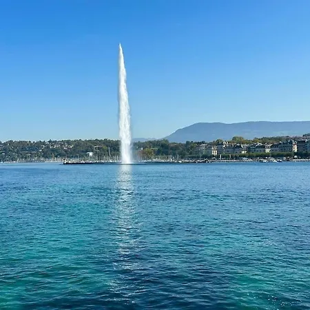 Hypercentre. Calme Propre Confortable. Au Coeur De Genève