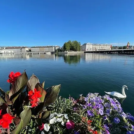 Appartement Hypercentre. Calme Propre Confortable. Au Coeur De Genève